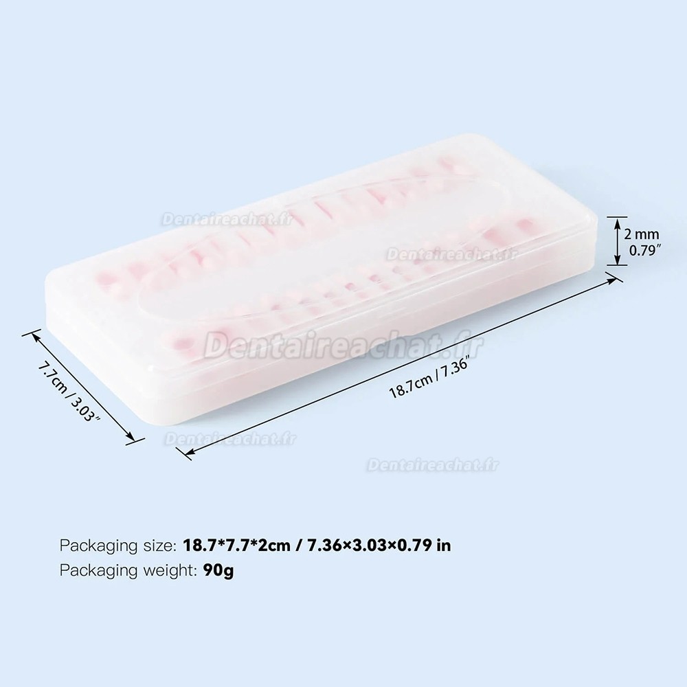 Modèle de dentier typodontique (28 pièces/ensemble), pour la pratique du traitement de canal.